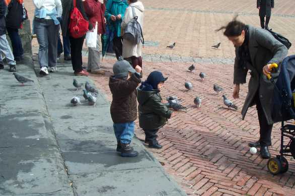 Kids and pigeons